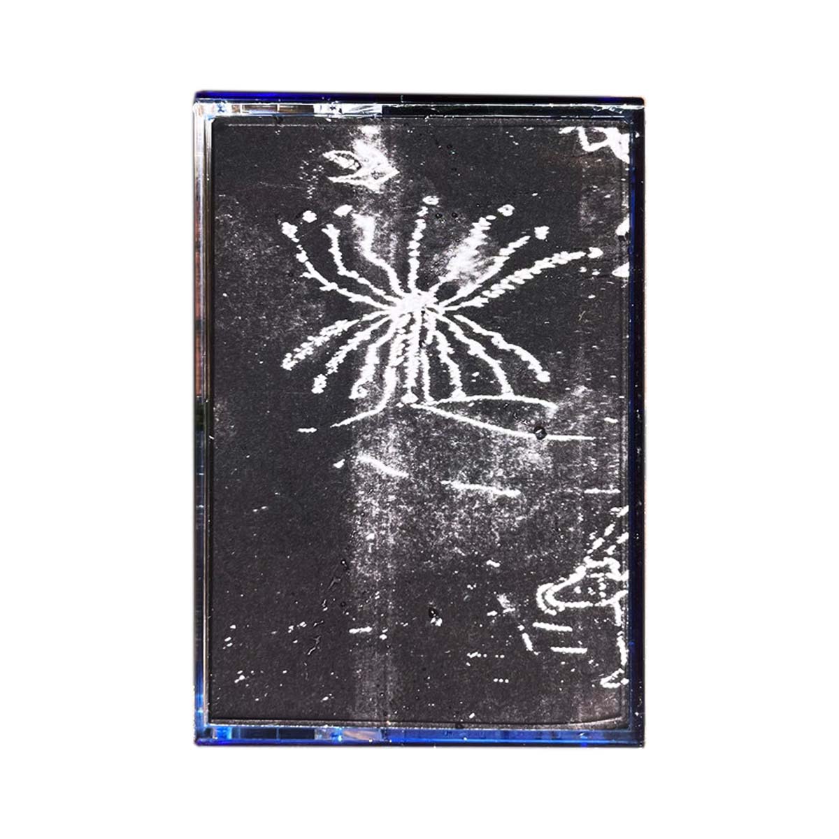 New and Recommended Punk & Hardcore Ragers!